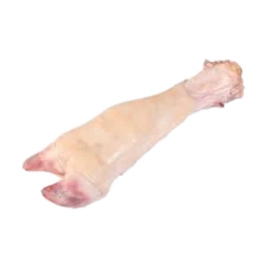 پاچه گوساله