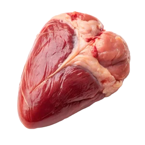 دل مرغ