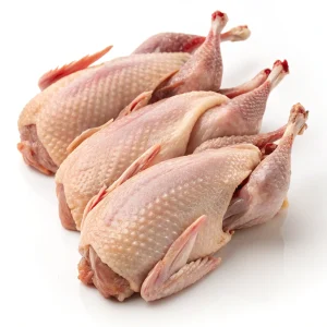 بلدرچین