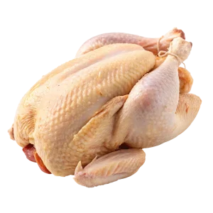 مرغ مشهد